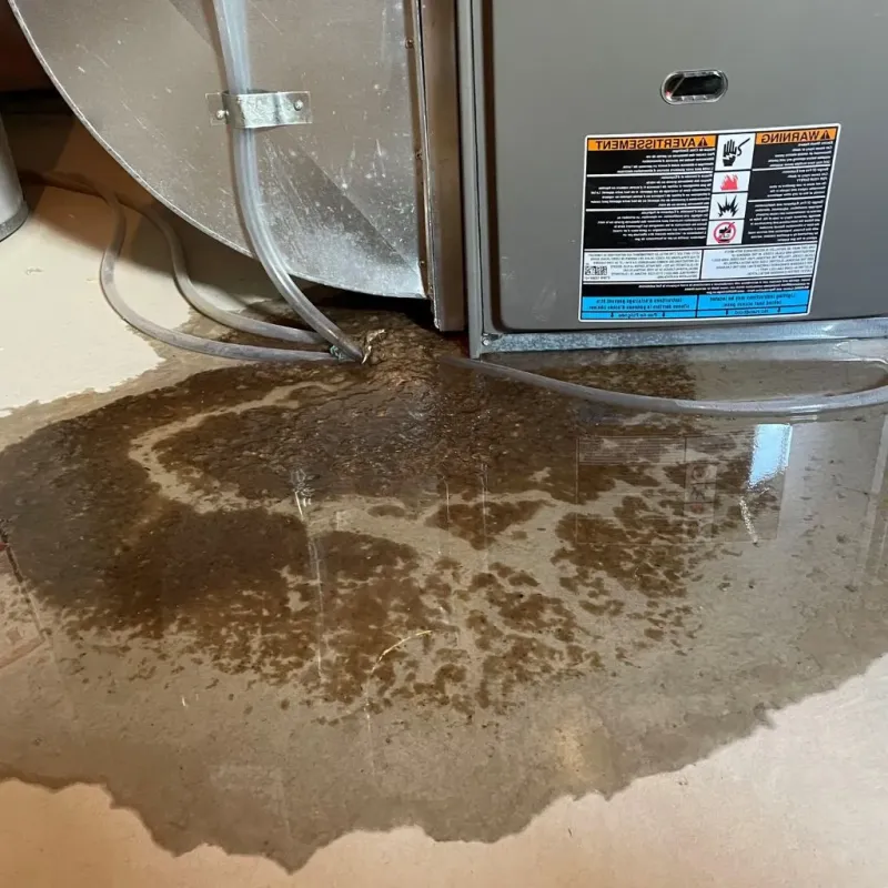 Pipe Burst and Leak Restoration in Laingsburg, MI