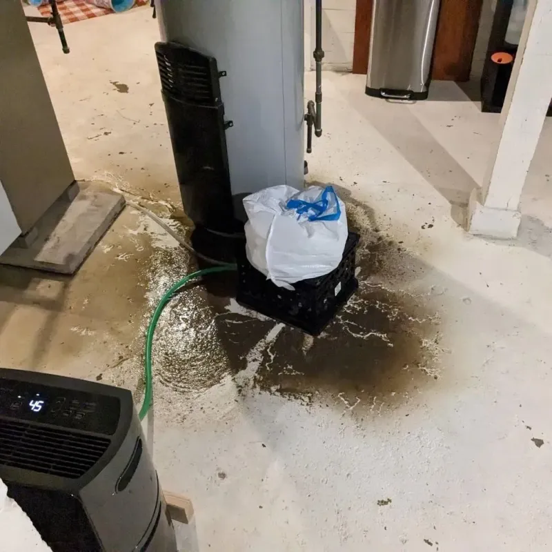Sewage Backup Cleanup Service in Laingsburg, MI